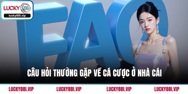 Câu hỏi thường gặp về cá cược ở nhà cái